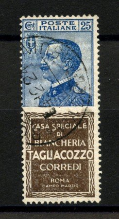 1924 - REGNO - LOTTO/39856 - 25c. PUBBLICITARIO TAGLIACOZZO - USATO