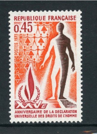 1973 - FRANCIA - DIRITTI DELL'UOMO - NUOVO - LOTTO/26082