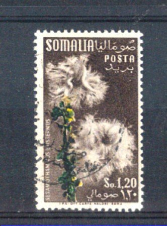 1955 - LOTTO/9854U - SOMALIA AFIS - 1,20  FIORI - USATO