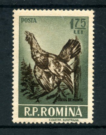 1956 - LOTTO/5078 - ROMANIA - 1,75 LEU GALLO CEDRONE - NUOVO