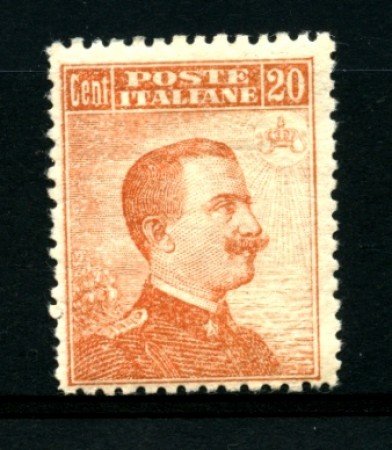 1916 - LOTTO/11562 - REGNO - 20c. ARANCIO SENZA FILIGRANA - LING.