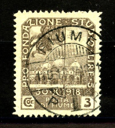 1919 - FIUME - LOTTO/39882 - 3C.+5c. SEPPIA PLEBISCITO - USATO