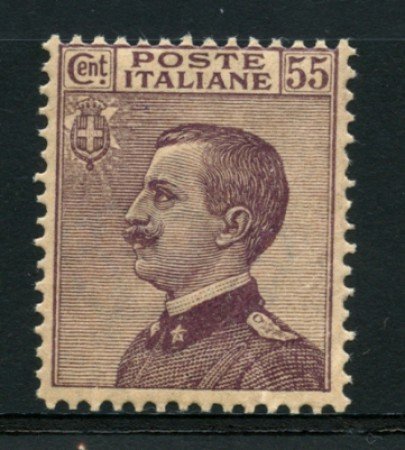 1920 - LOTTO/12746 - REGNO - 55 c. VIOLETTO BRUNO - LING.