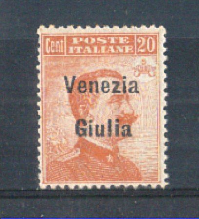 1918/19 - LOTTO/VNG23L - VENEZIA GIULIA - 20c. ARANCIO LING.