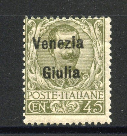 1918 - VENEZIA GIULIA - LOTTO/41849 - 45 CENTESIMI SOPRASTAMPATO - LINGUELLATO