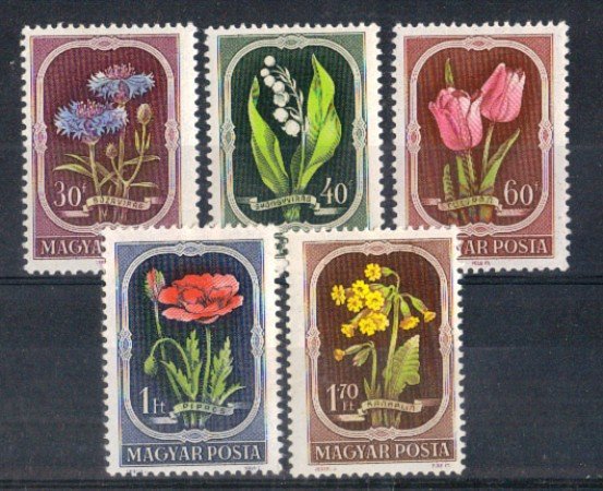 1951 - LBF/2916 - UNGHERIA - FIORI - NUOVI