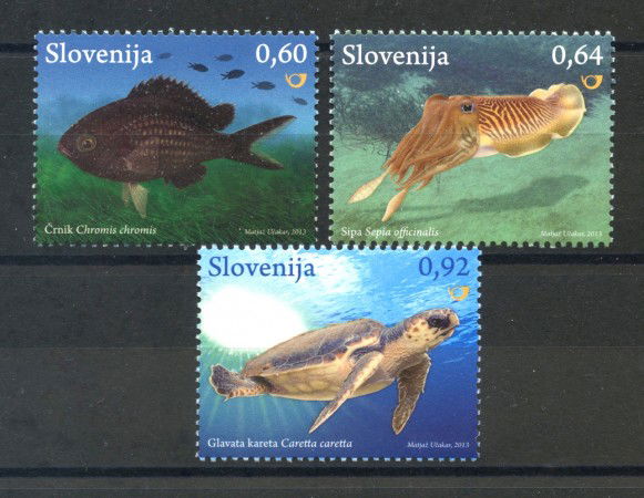 2013 - SLOVENIA - FAUNA MARINA 3v. - NUOVO - LOTTO/34548