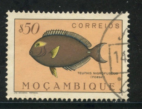 1951 - MOZAMBICO - 50c. PESCI - USATO - LOTTO/29042