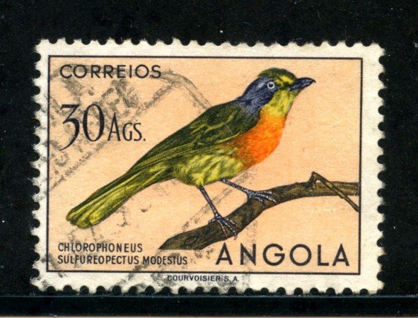 1951 - ANGOLA - 30 Ag. UCCELLI - USATO - LOTTO/29019C