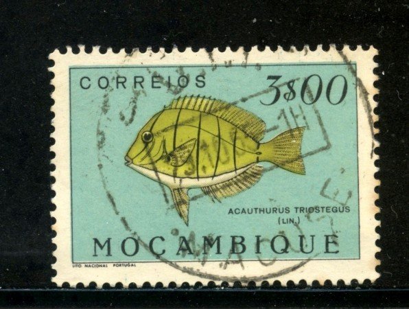 1951 - MOZAMBICO - 3 e. PESCI - USATO - LOTTO/29049