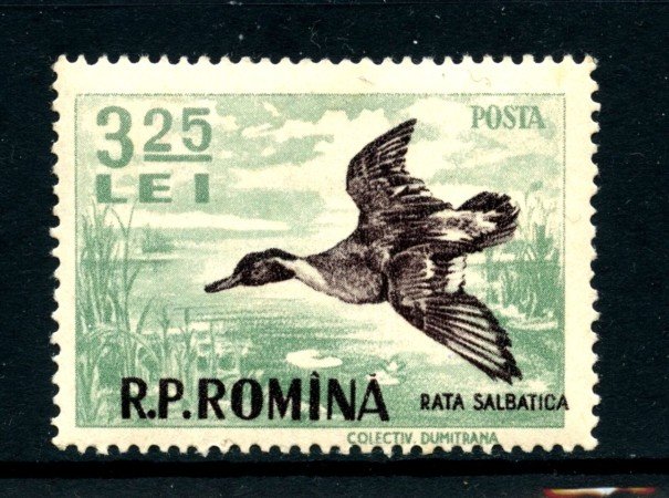 1956 - ROMANIA - 3,25 LEI  ANATRA SELVATICA - T/L - LOTTO/28390