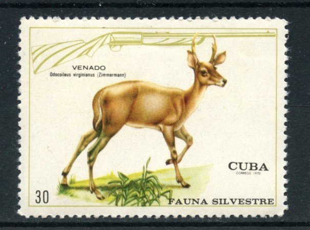 1970 - CUBA - 30c. FAUNA SILVESTRE CERVO - NUOVO - LOTTO/27862