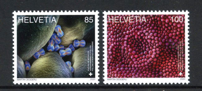 2020 - SVIZZERA - LOTTO/42184 - ARTE  MICROSCOPICA 2v. - NUOVI