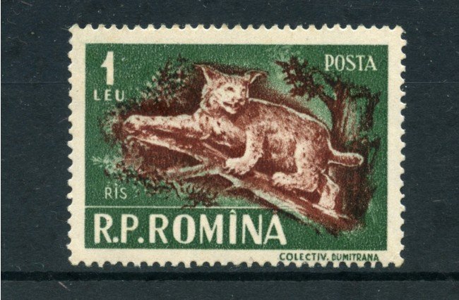 1956 - LOTTO/5077 - ROMANIA -  1 LEU LINCE - NUOVO