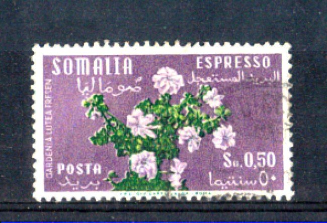 1955 - LOTTO/9856U - SOMALIA AFIS - 50c. FIORI ESPRESSO - USATO