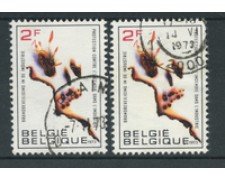 1973 - BELGIO - LOTTO/24463 - PREVENZIONE INCENDI 2v. - USATI