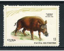 1970 - CUBA - 13c. FAUNA SILVESTRE CINGHIALE - NUOVO - LOTTO/27861