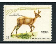 1970 - CUBA - 30c. FAUNA SILVESTRE CERVO - NUOVO - LOTTO/27862