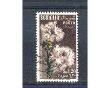 1955 - LOTTO/9854U - SOMALIA AFIS - 1,20  FIORI - USATO