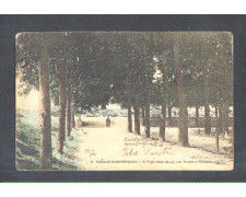 CASALE MONFERRATO - LBF/1169 - IL VIALE DELLE SFINGI