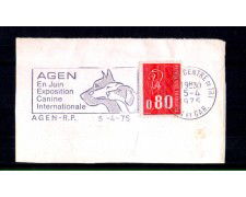 1975 - LOTTO/11451 - FRANCIA - AGEN ESPOSIZIONE CANINA - ANNULLO A TARGHETTA