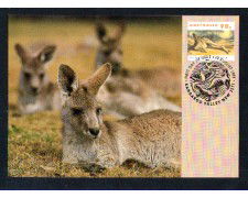 1993 - AUSTRALIA - LOTTO/11454 -  KANGAROO VALLEY - CARTOLINA MAXIMUM