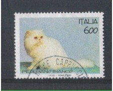 1993 - LOTTO/7009BU - REPUBBLICA - GATTO PERSIANO - USATO