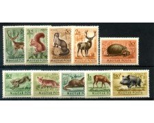 1953 - UNGHERIA  - ANIMALI SELVATICI - POSTA AEREA 10v. - NUOVI - LOTTO/30050