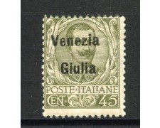 1918 - VENEZIA GIULIA - LOTTO/41849 - 45 CENTESIMI SOPRASTAMPATO - LINGUELLATO