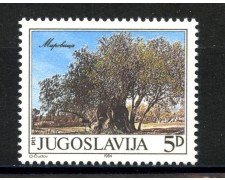 1984 - JUGOSLAVIA - LOTTO/38317 - GLI OLIVI DI MIROVICA - NUOVO