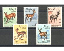 1968 - SOMALIA - LOTTO/41235 - ANIMALI SELVATICI  5v. - NUOVI