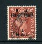 1951 - LOTTO/23688 - B.A. TRIPOLITANIA - 4 M. SU 2p. BRUNO - USATO