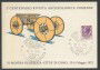 1972 - REPUBBLICA - COMO - CENTENARIO RIVISTA ARCHEOLOGICA - CARTOLINA - LOTTO/27805