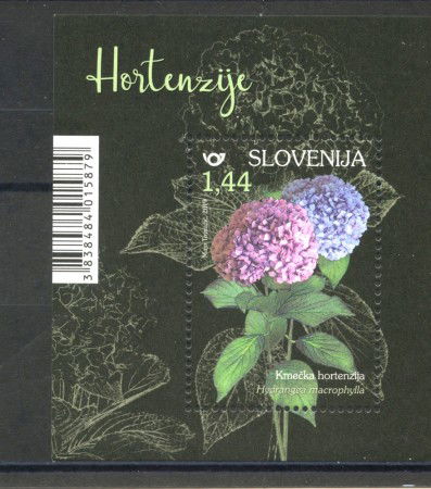 2019 - SLOVENIA - FIORI ORTENSIE  FOGLIETTO - NUOVO - LOTTO/34728