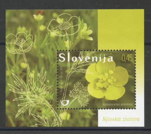 2009 - SLOVENIA - FIORI DI CAMPO FOGLIETTO - NUOVO - LOTTO/34402