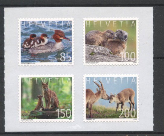 2020 - SVIZZERA - LOTTO/42183 - FAUNA 4v - NUOVI