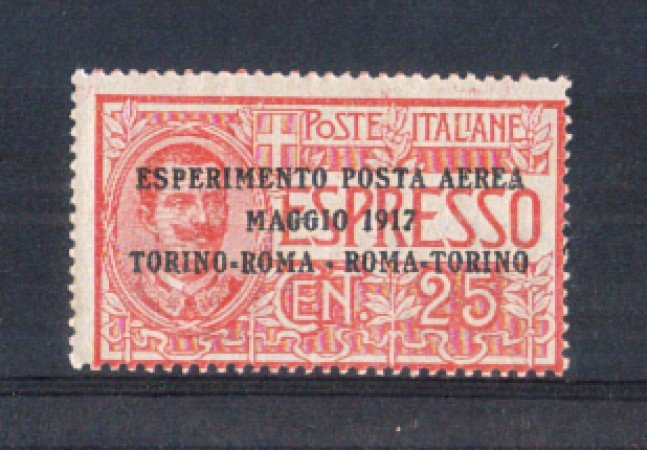 1917 - LOTTO/REGA1N - REGNO - POSTA AEREA TORINO/ROMA - NUOVO