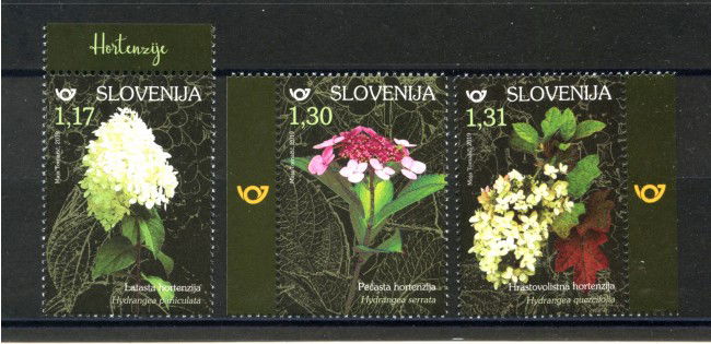 2019 - SLOVENIA - FIORI  ORTENSIE  3v. - NUOVI - LOTTO/34727